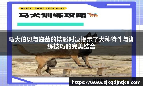 芒果体育官方网站