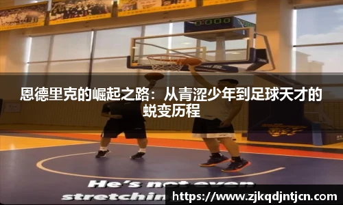 芒果体育官网入口